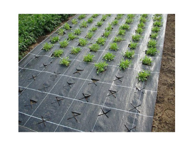 Як правильно використовувати агротканину на дачній ділянці